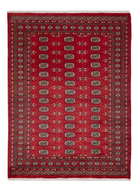 Dywan pakistański 231x172cm - Dywan orientalny – product image
