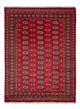 Dywan pakistański 231x172cm - Dywan orientalny