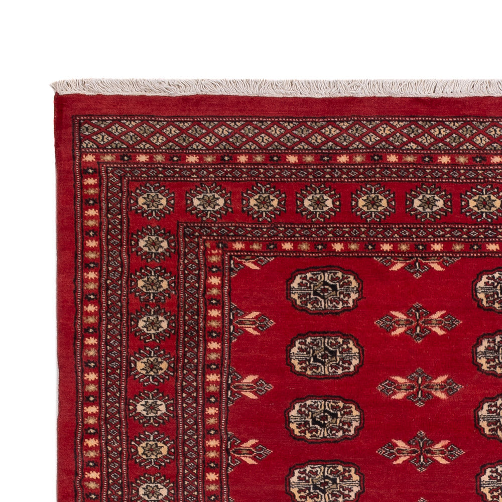 Dywan pakistański 231x172cm - Dywan orientalny