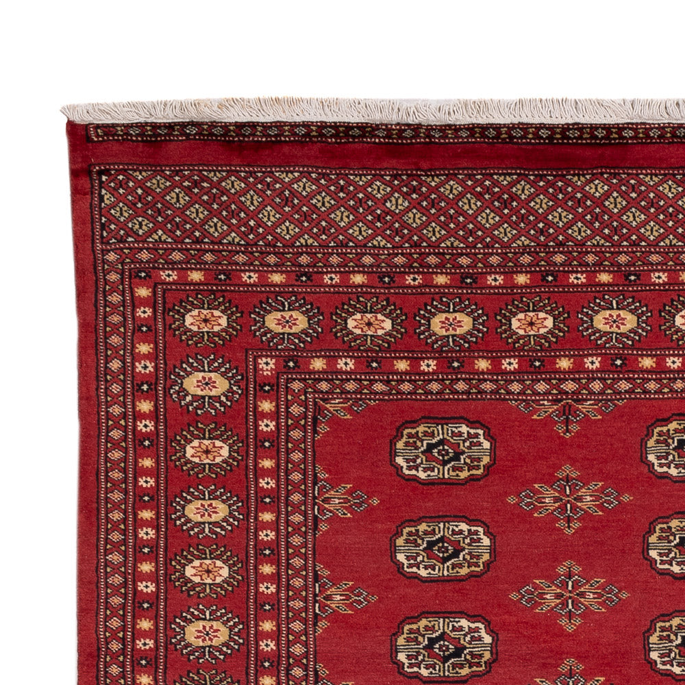 Dywan pakistański 241x173cm - Dywan orientalny