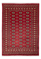 Dywan pakistański 245x170cm - Dywan orientalny