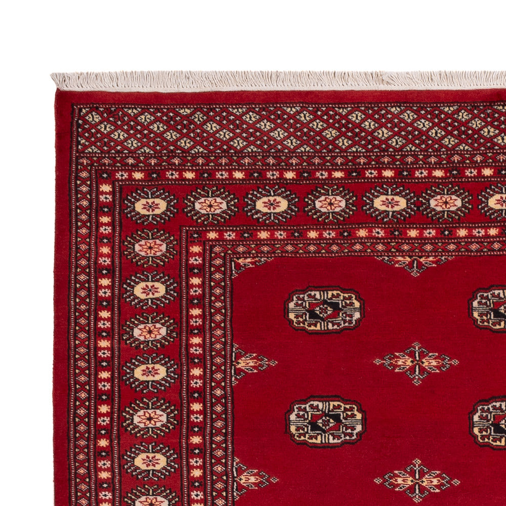 Dywan pakistański 236x171cm - Dywan orientalny