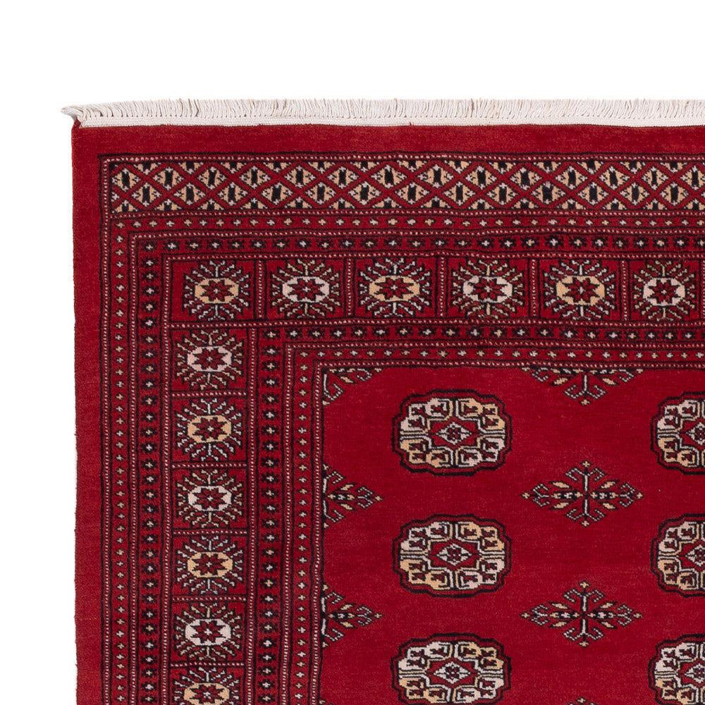 Dywan pakistański 249x167cm - Dywan orientalny