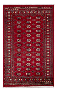 Dywan pakistański 266x167cm - Dywan orientalny – product image