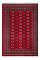 Dywan pakistański 239x164cm - Dywan orientalny
