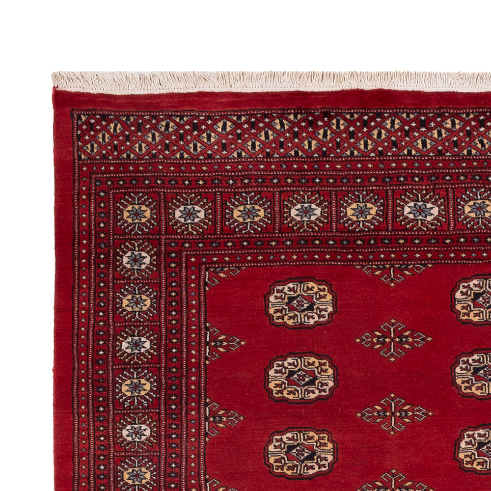 Dywan pakistański 235x165cm - Dywan orientalny