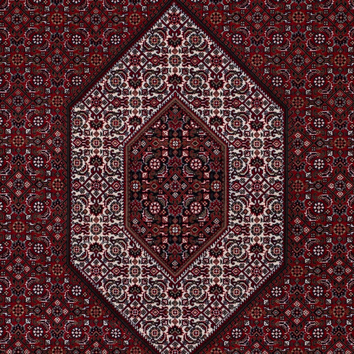 Orientalny dywan - Bijar - Indus - 298 x 200 cm - ciemny camel