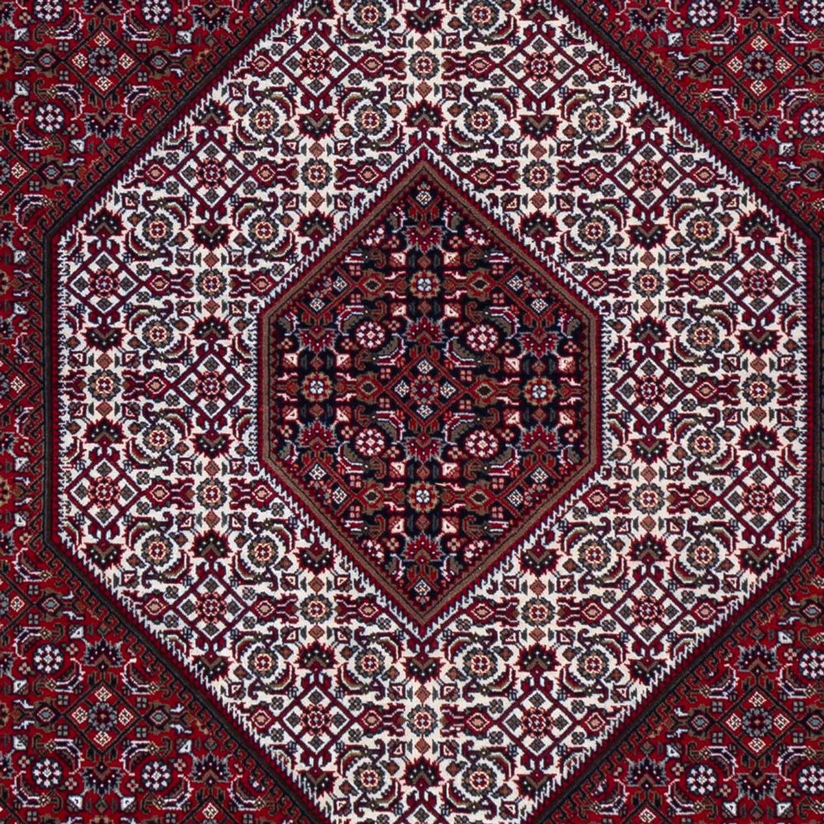 Orientalny dywan - Bijar - Indus - 305 x 251 cm - ciemna czerwień