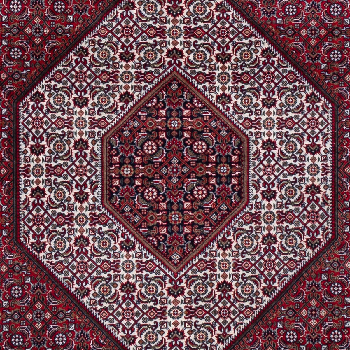 Orientalny dywan - Bijar - Indus - 300 x 247 cm - ciemna czerwień