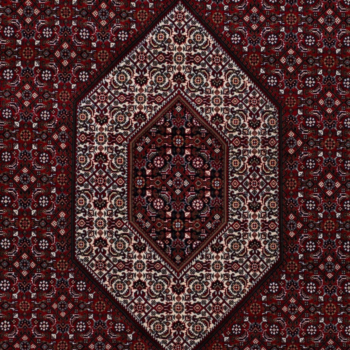Orientalny dywan - Bijar - Indus - 305 x 198 cm - ciemny camel