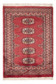 Dywan pakistański 114x79cm - Dywan orientalny
