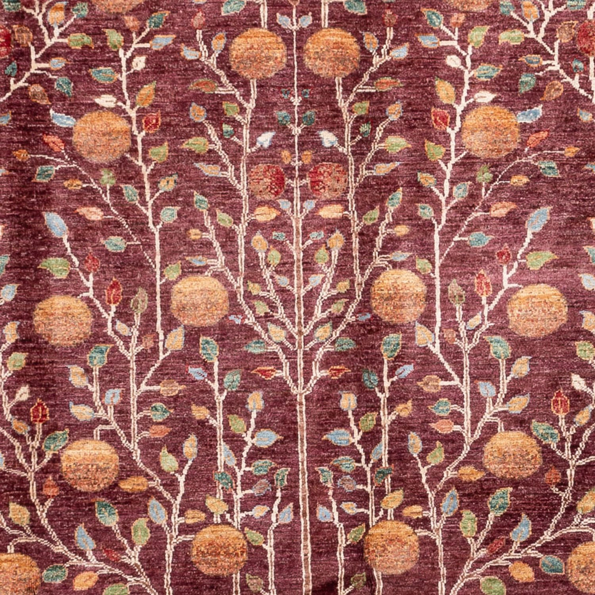 Dywan Ziegler - Ariana - 300 x 206 cm - czerwony