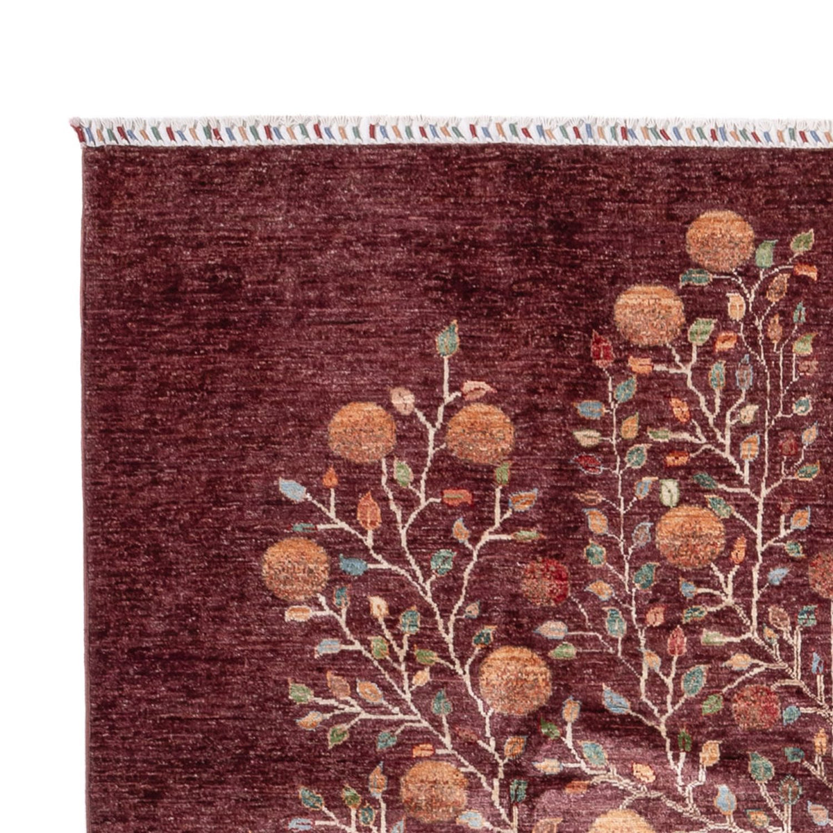 Dywan Ziegler - Ariana - 300 x 206 cm - czerwony