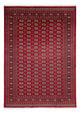 Bukhara Dywan 346x241cm - Dywan orientalny