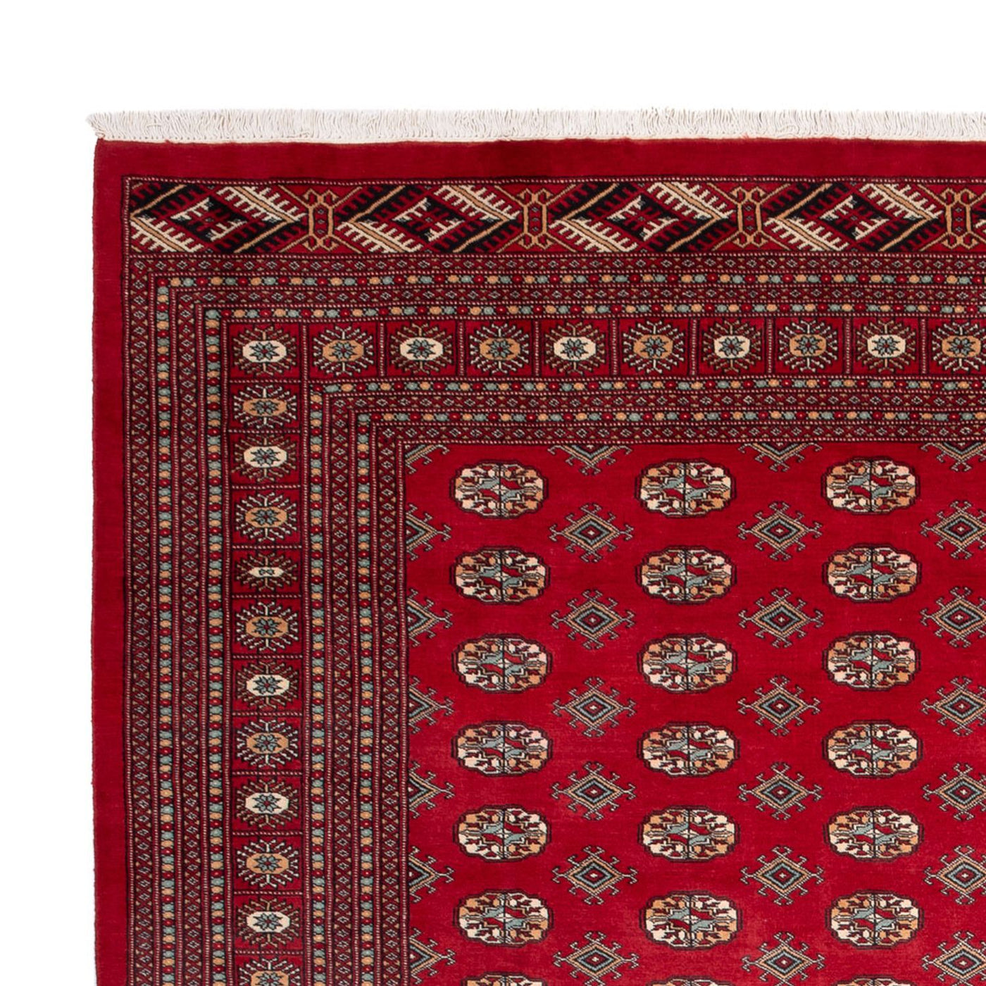 Bukhara Dywan 354x275cm - Dywan orientalny