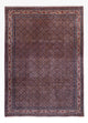 Bidjar - Takab Dywan 349x252cm - Dywan perski