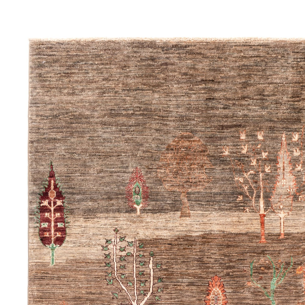 Dywan Ziegler - Ariana - 303 x 208 cm - beżowy