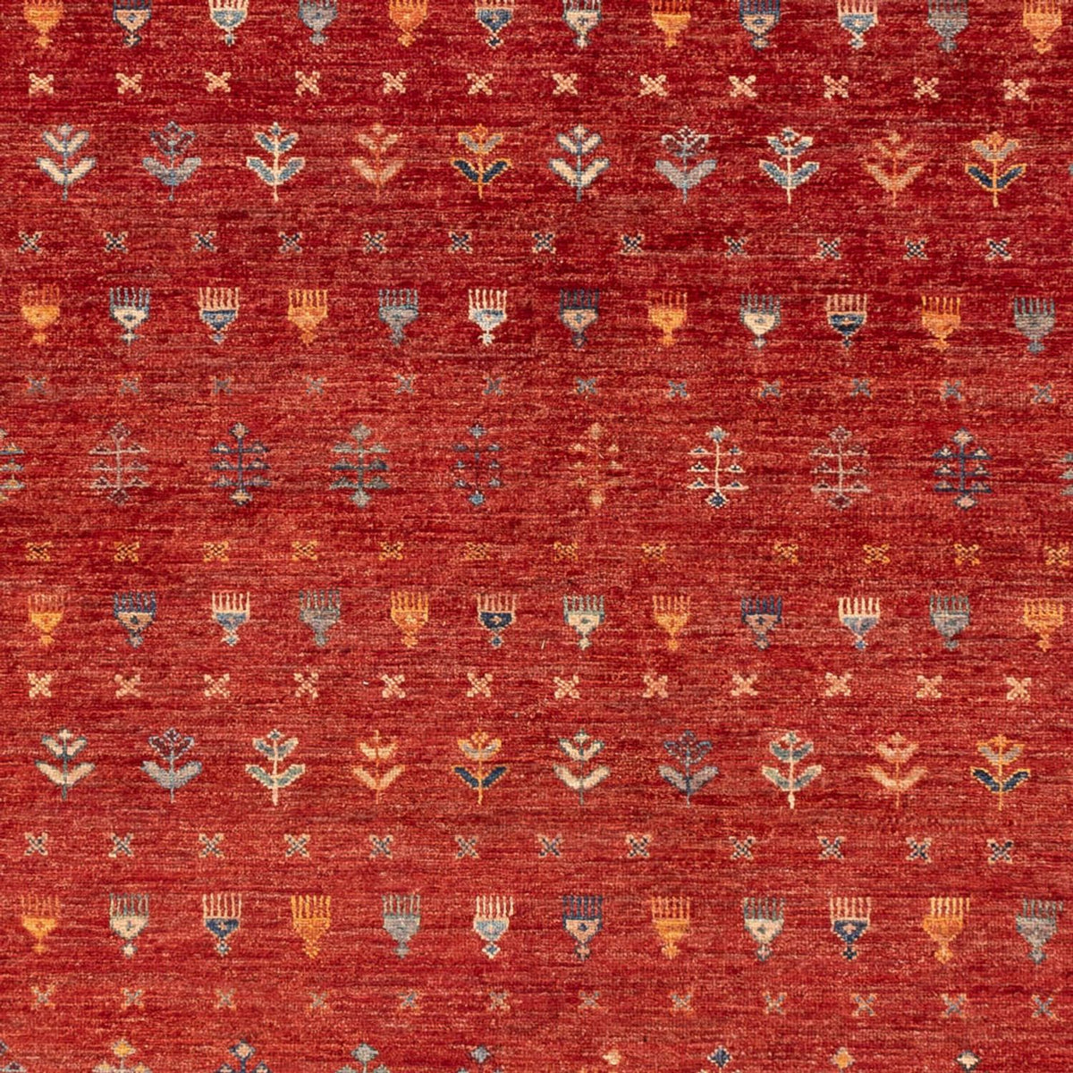 Dywan Ziegler - Ariana - 306 x 211 cm - czerwony