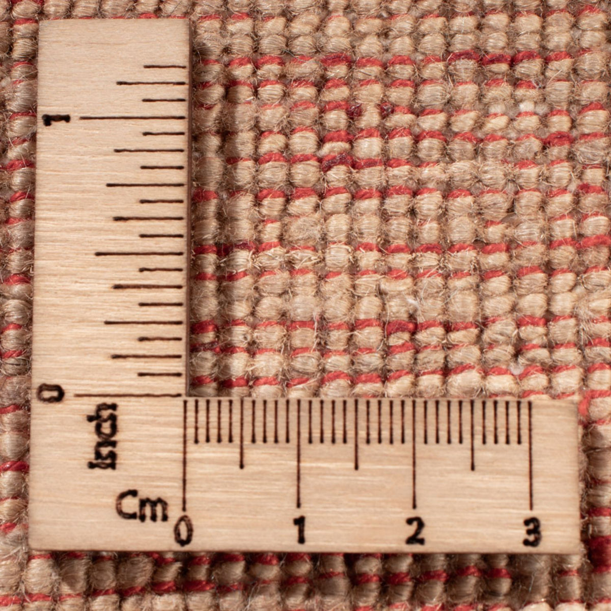 Dywan Ziegler - Ariana - 298 x 248 cm - beżowy