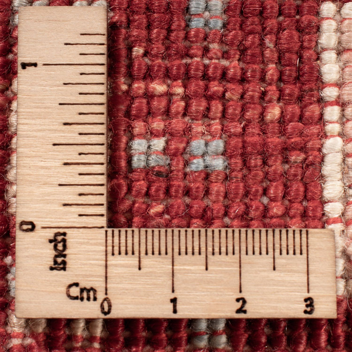 Dywan Ziegler - Ariana - 297 x 246 cm - wielokolorowy