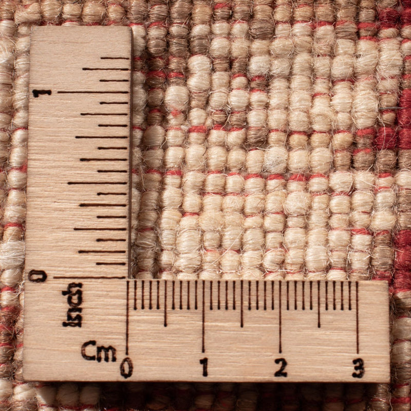 Dywan Ziegler - Ariana - 303 x 247 cm - wielokolorowy