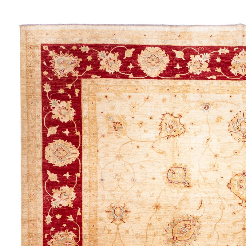 Dywan Zieglera - 584 x 394 cm - beżowy