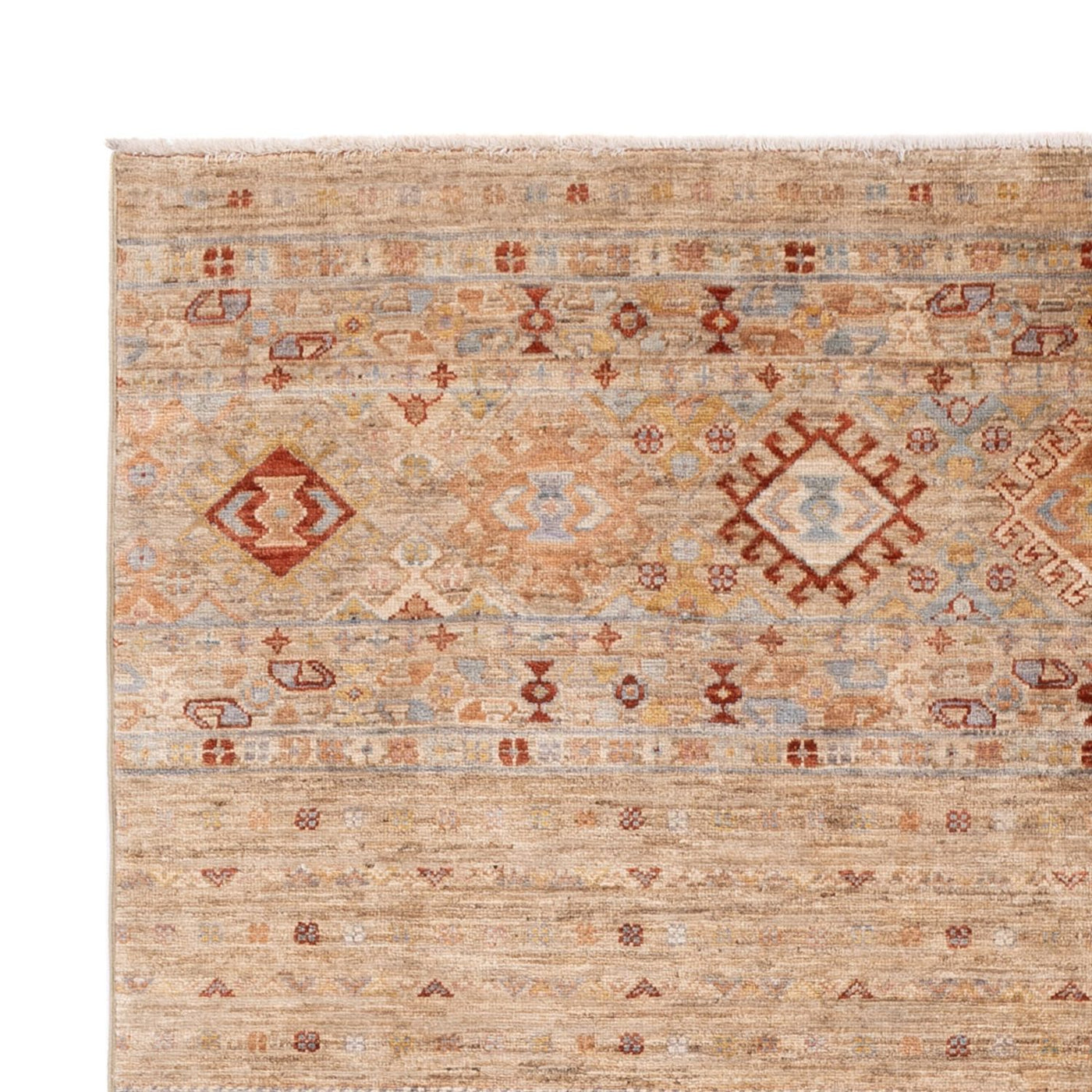 Ariana Dywan 245x173cm - Dywan orientalny