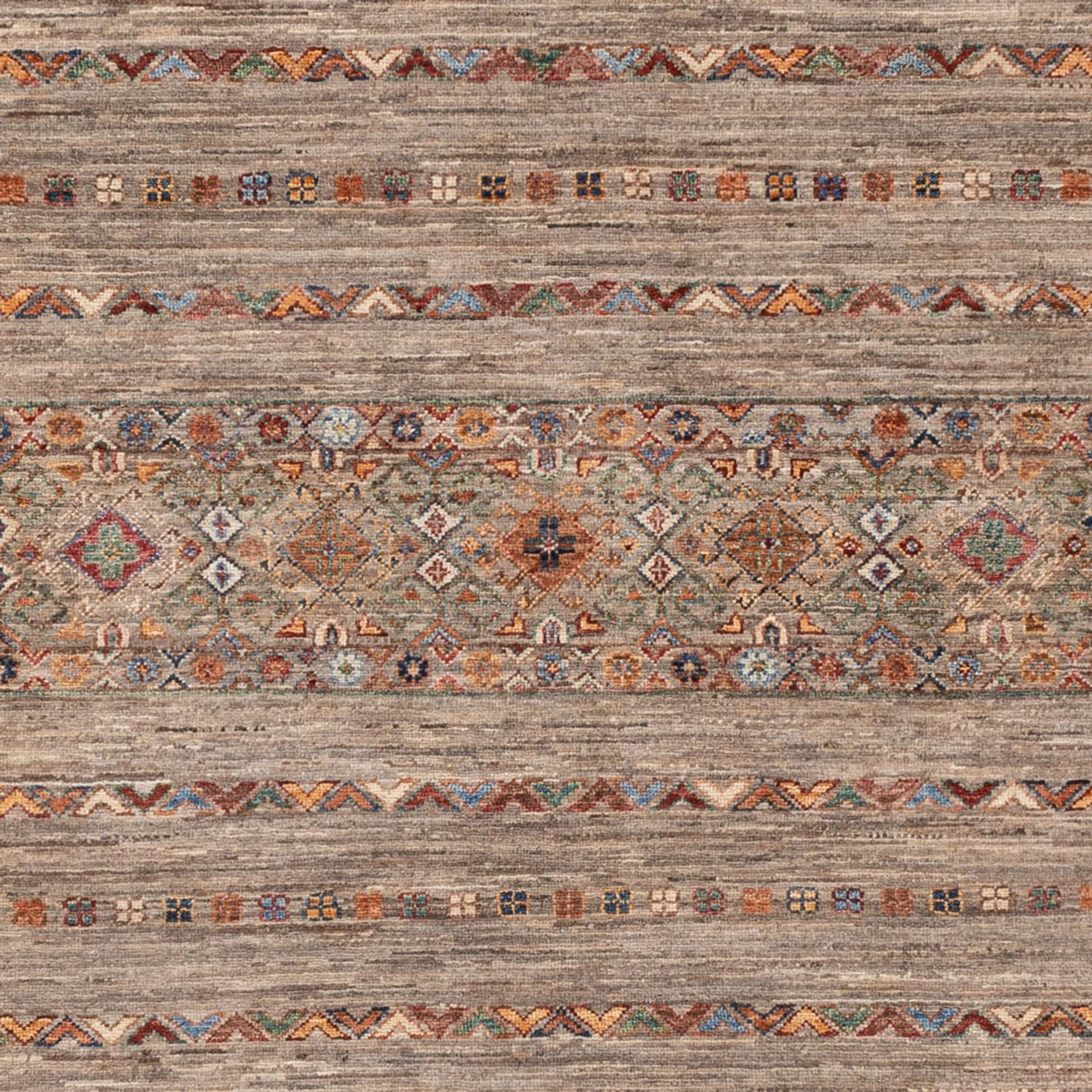 Dywan Ziegler - Shal - 308 x 201 cm - ciemny beż