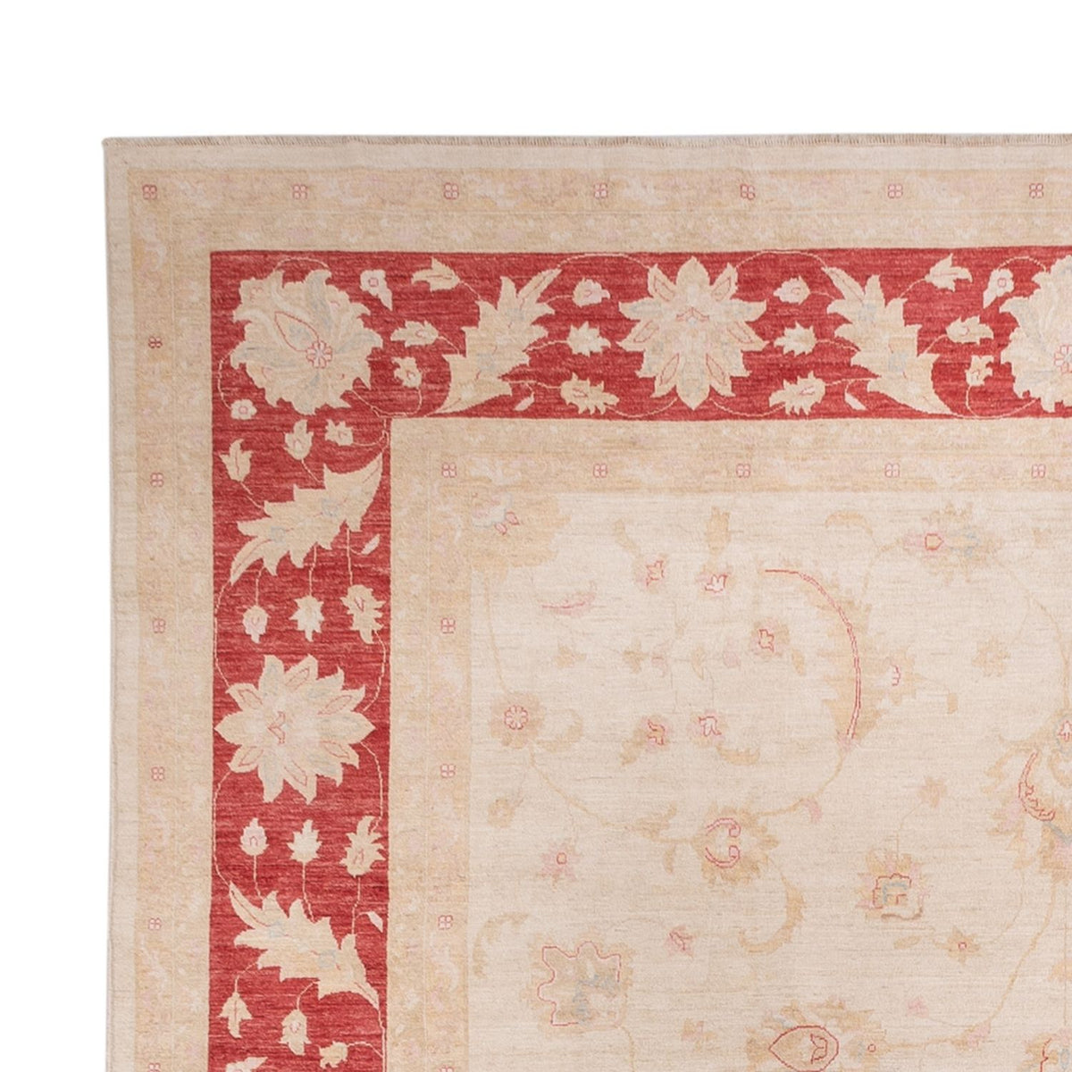 Dywan Zieglera - 538 x 350 cm - beżowy