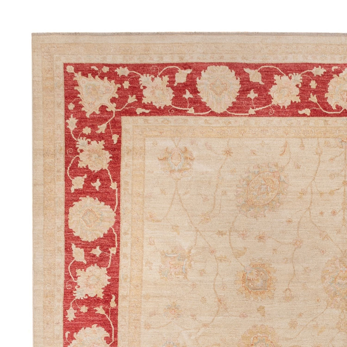 Dywan Zieglera kwadratowy  - 394 x 398 cm - beżowy