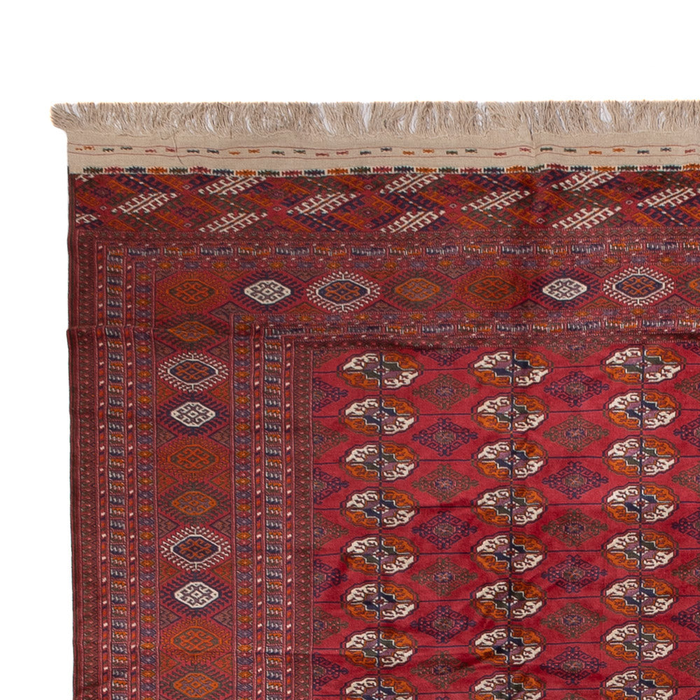 Buchara Dywan 505x308cm - Dywan orientalny