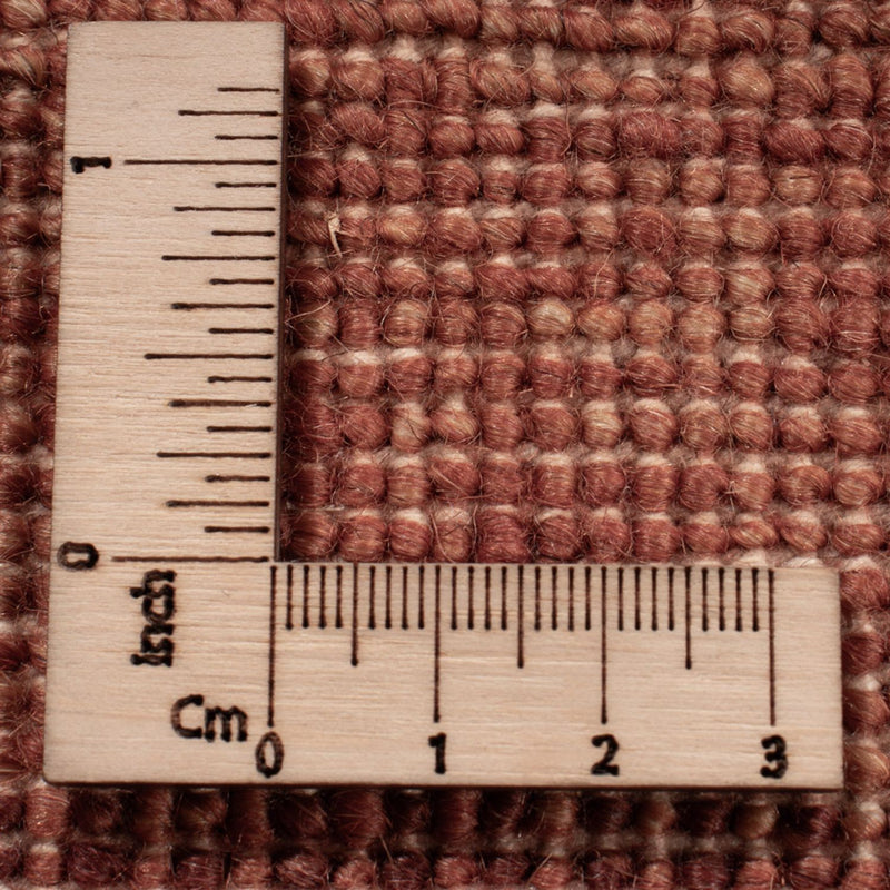 Dywan Ziegler - Modern - 493 x 300 cm - czerwony