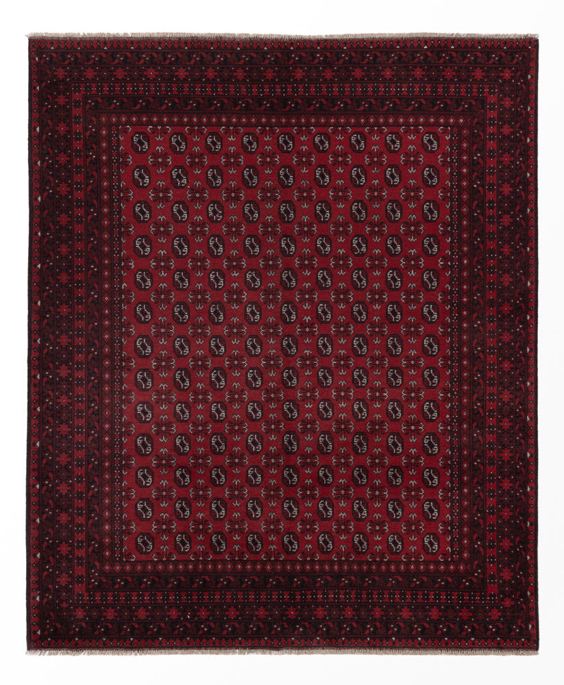 Afghan Teppich - Filpa - 302 x 245 cm - rot