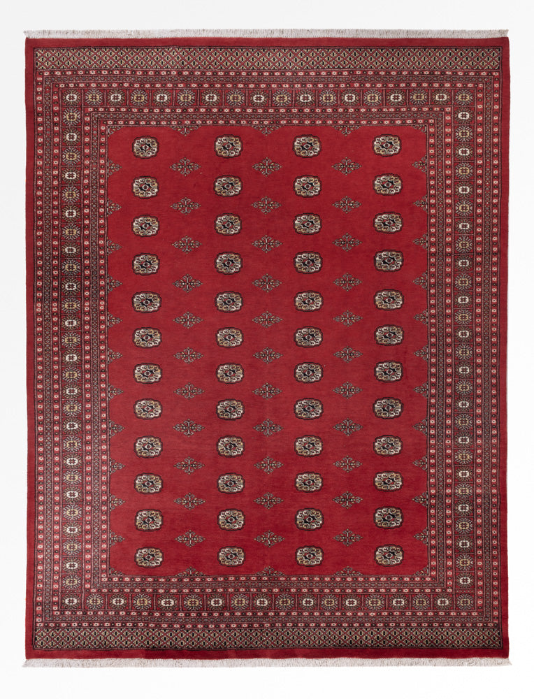 Pakistan Teppich - 331 x 251 cm - rot
