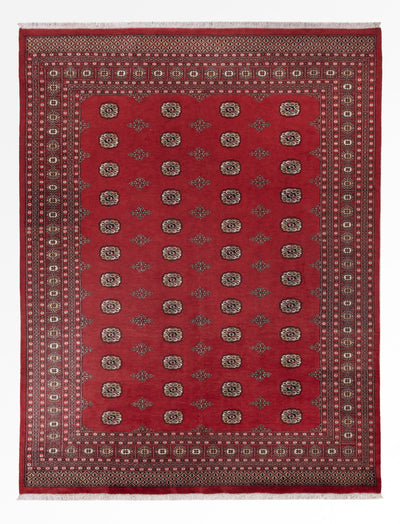 Dywan pakistański 251x331cm - Dywan orientalny