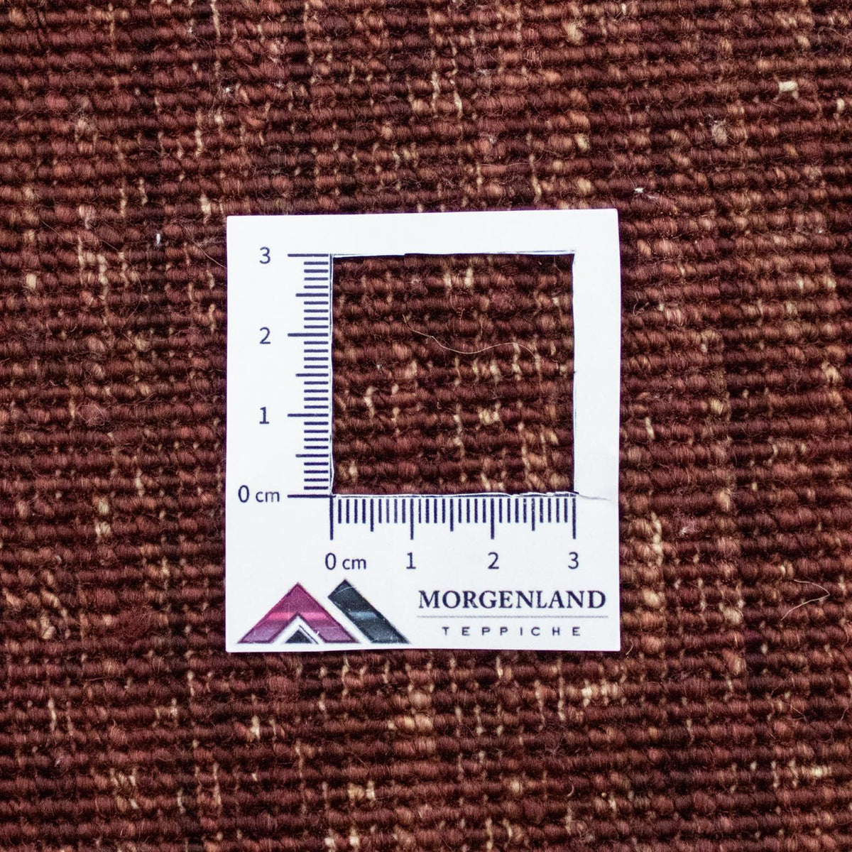 Dywan Zieglera - 237 x 172 cm - kolorowe