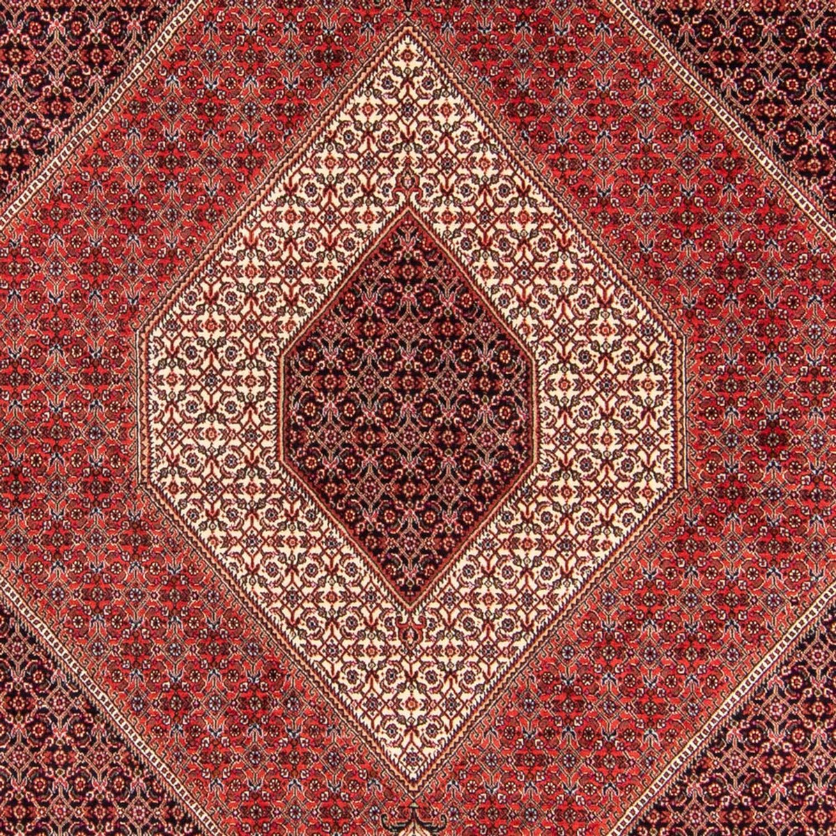 Perski dywan - Bijar - Royal - 240 x 175 cm - czerwony