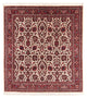 Bidjar - Takab Dywan 159x153cm - Dywan perski