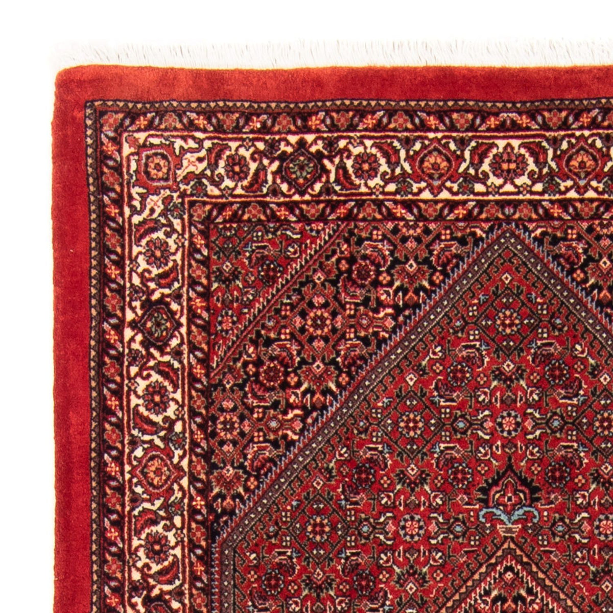 Bidjar - Takab Dywan 90x150cm - Dywan perski