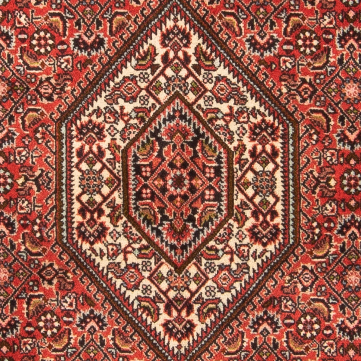 Perski dywan - Bijar - Royal - 137 x 81 cm - czerwony