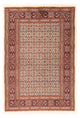 Moud Dywan 101x152cm - Dywan perski
