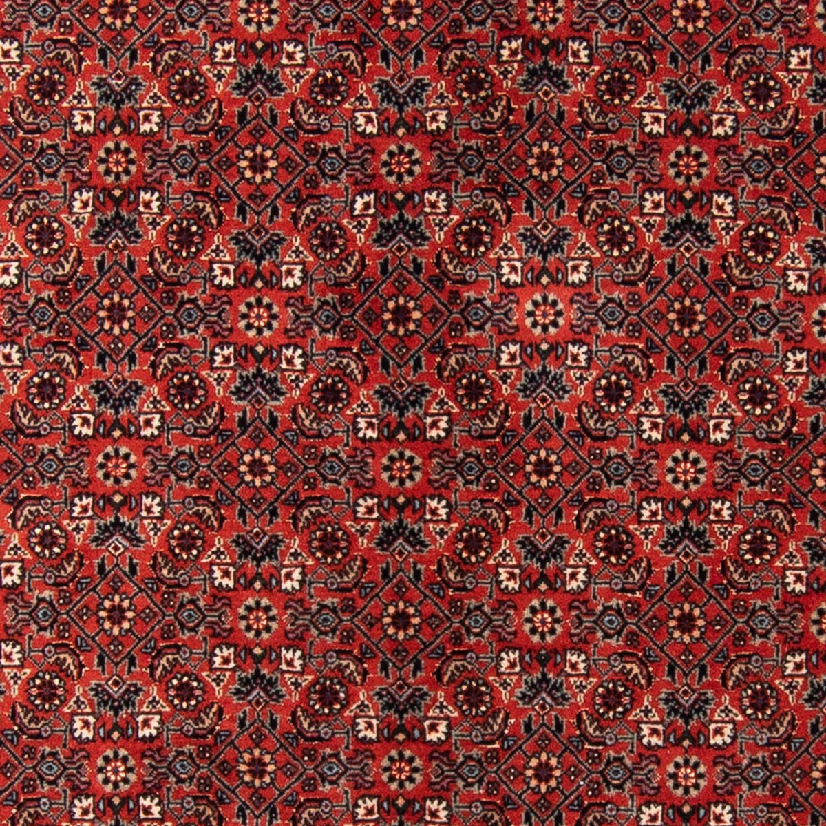 Biegacz Perski dywan - Bijar - Royal - 205 x 102 cm - czerwony