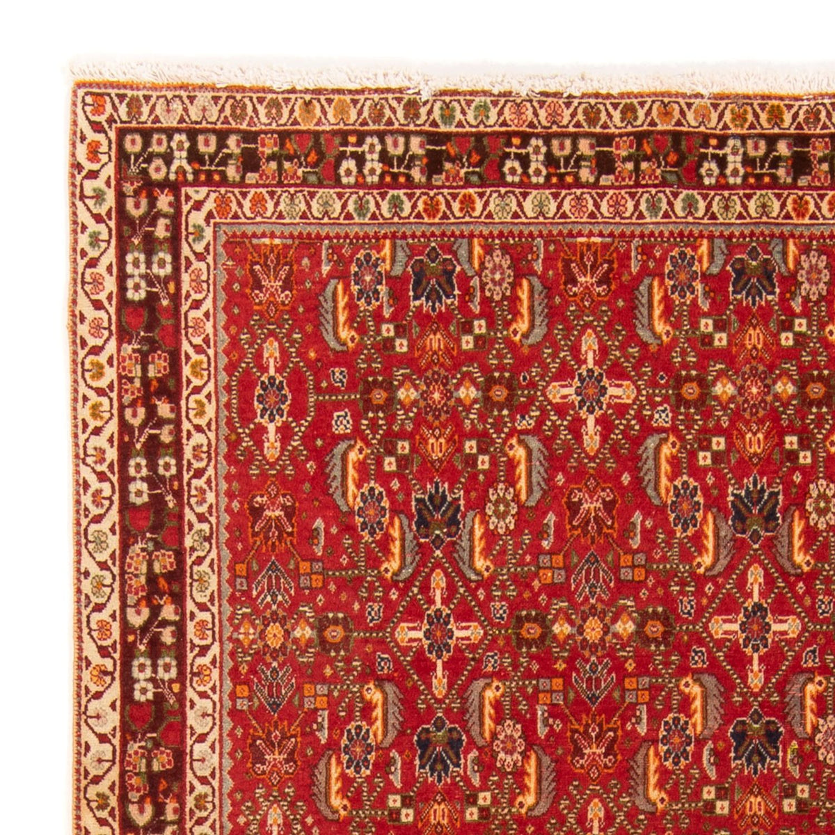 Kashkuli Dywan 130x192cm - Dywan perski