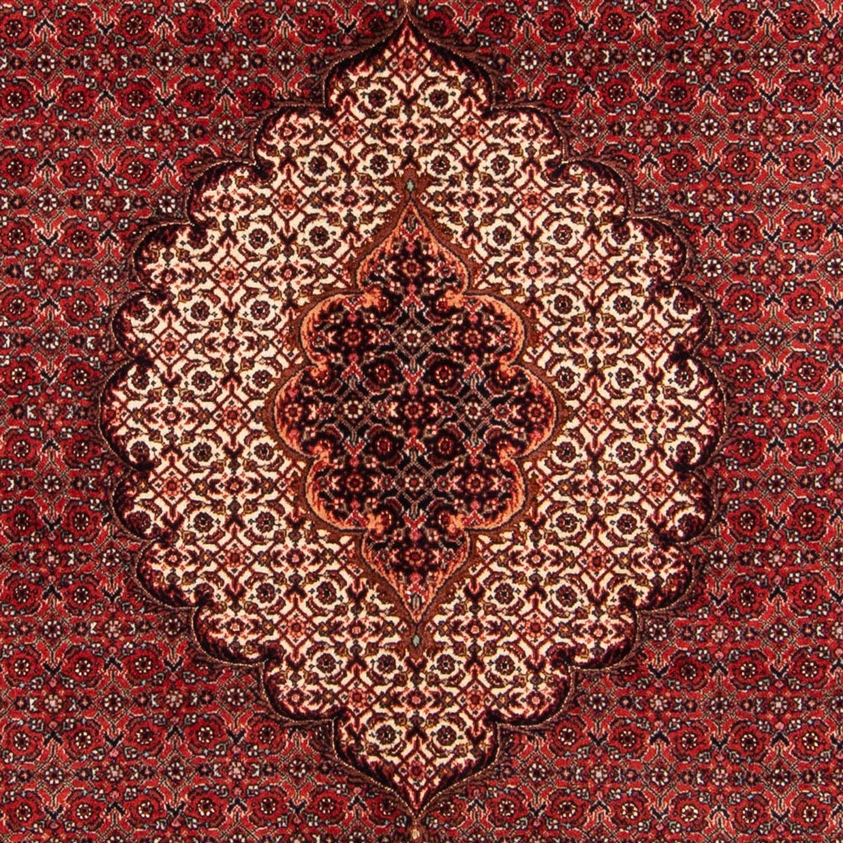Perski dywan - Bijar - Royal - 209 x 153 cm - czerwony