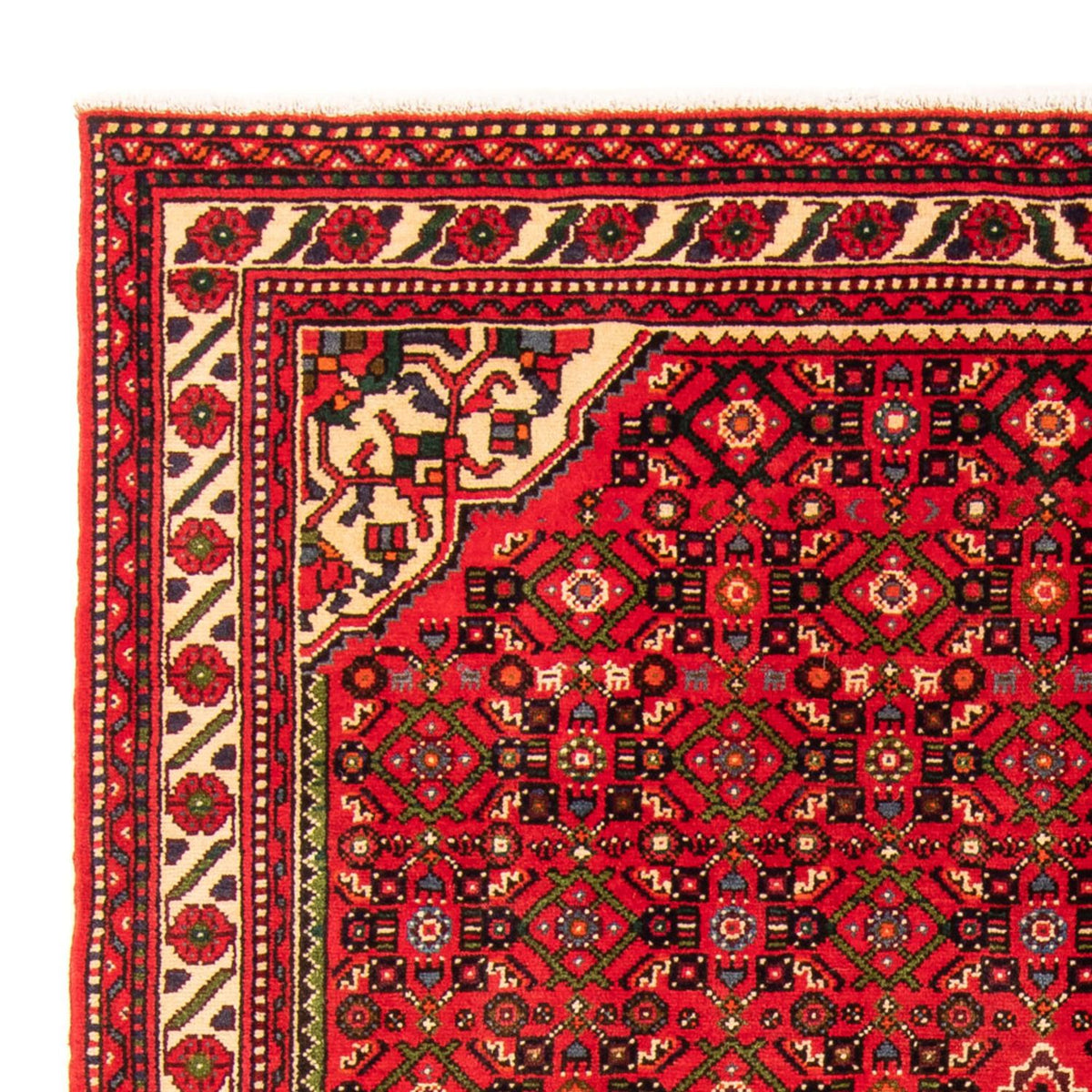 Hosseinabad Dywan 155x204cm - Dywan perski