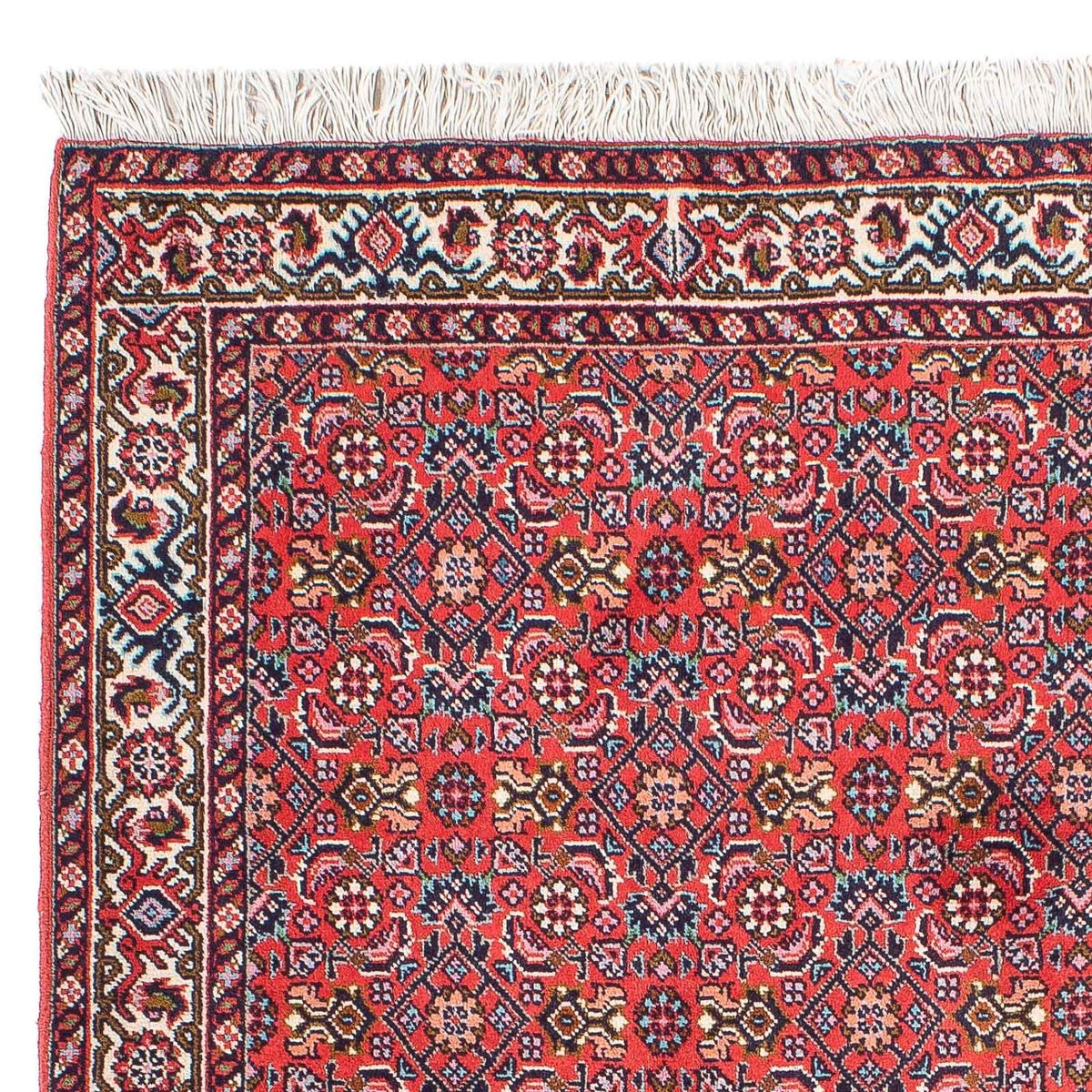 Bidjar - Takab Dywan 74x94cm - Dywan perski