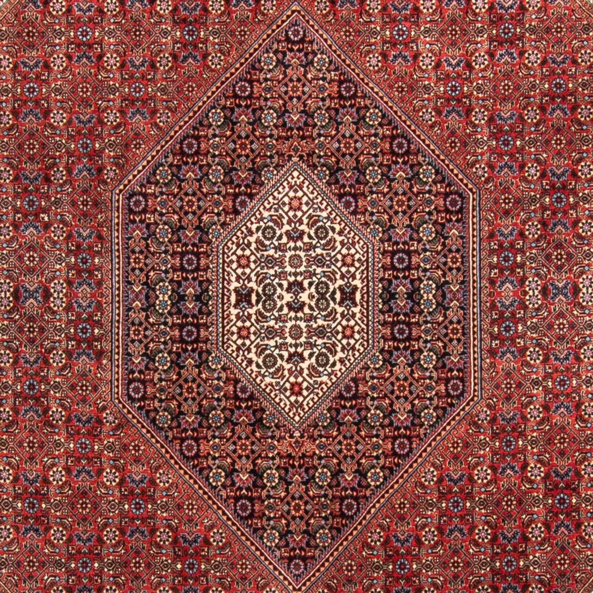 Perski dywan - Bijar - Royal - 310 x 205 cm - czerwony