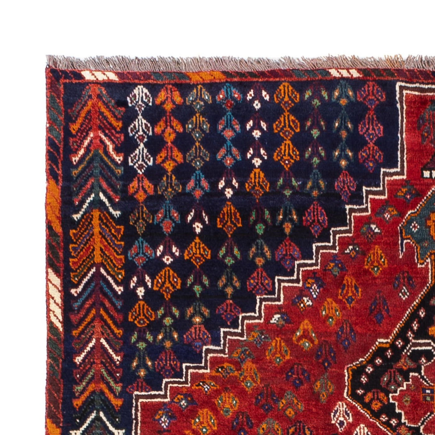 Qashqai Dywan 211x155cm - Dywan perski