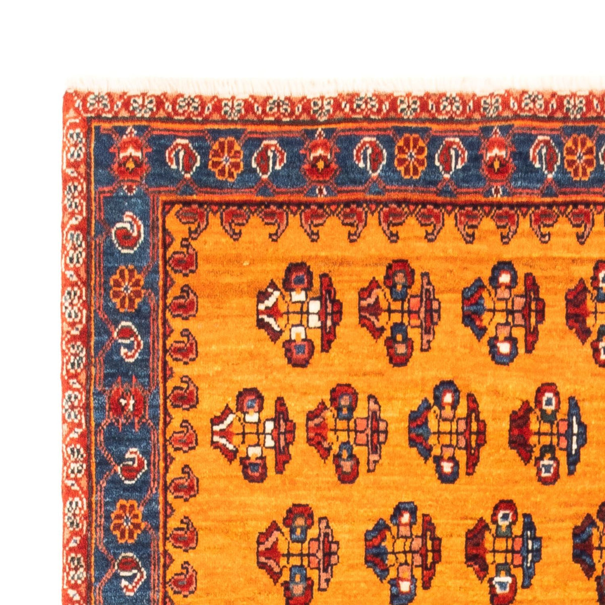 Gabbeh Teppich - Perser - 175 x 120 cm - gold