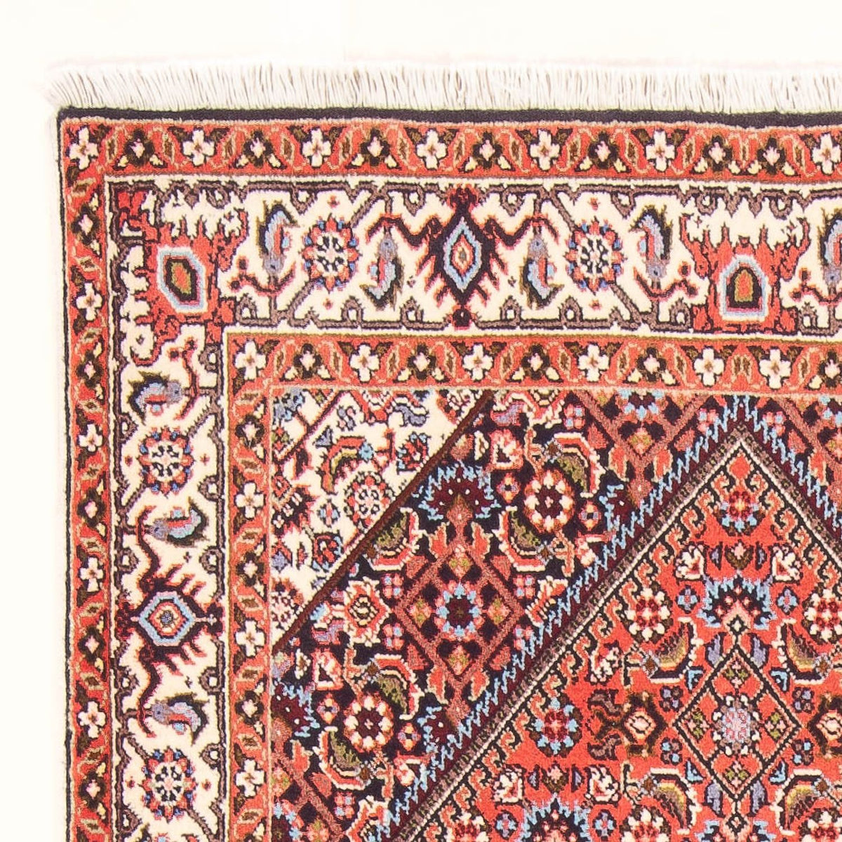 Bidjar - Bukan Dywan 83x154cm - Dywan perski - czerwony